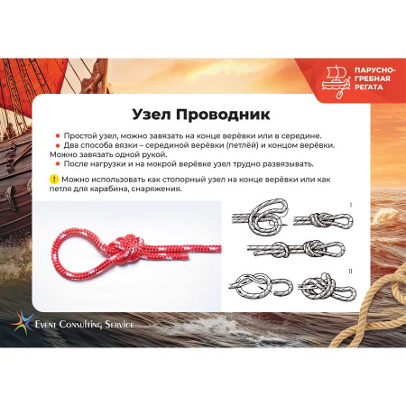 Корпоративная парусно-гребная регата